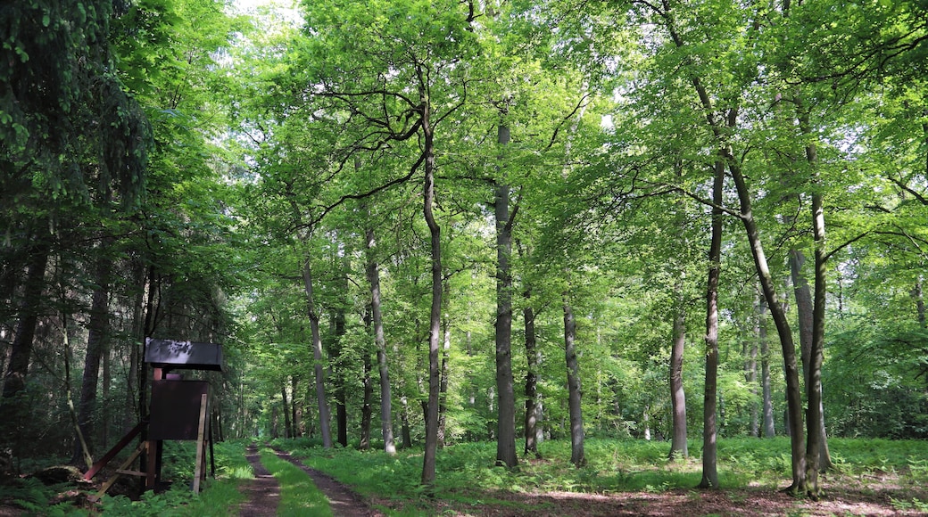 This is a picture of the protected area listed at WDPA under the ID