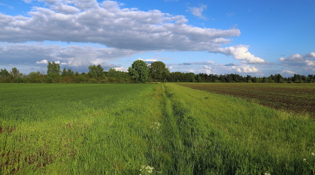 This is a picture of the protected area listed at WDPA under the ID
