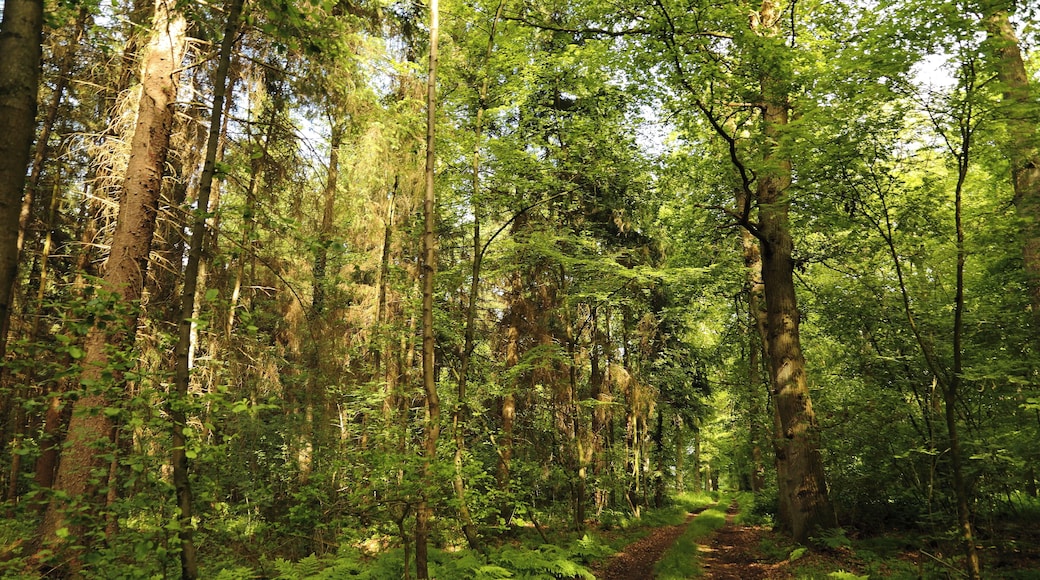 This is a picture of the protected area listed at WDPA under the ID