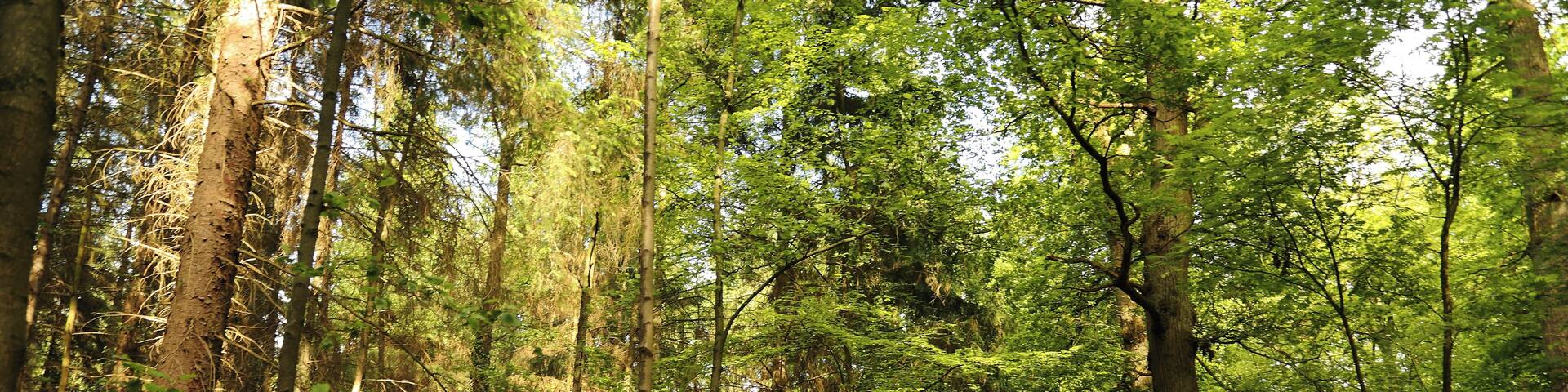 This is a picture of the protected area listed at WDPA under the ID