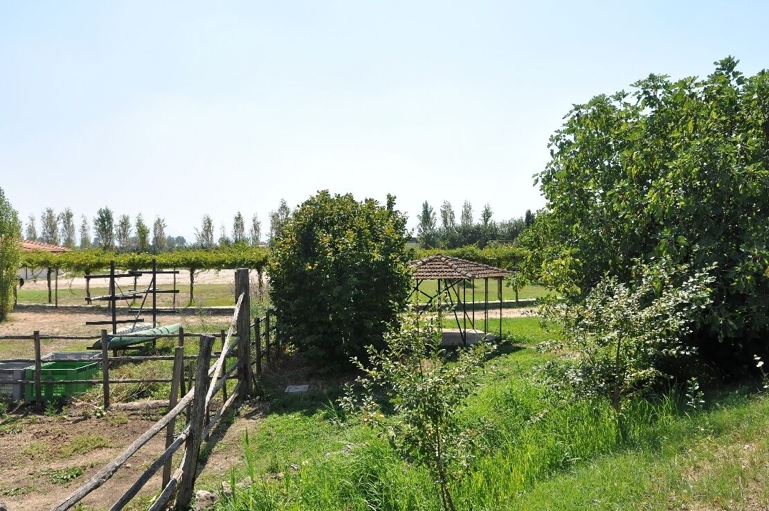 Foro Appio Mansio Hotel 2012