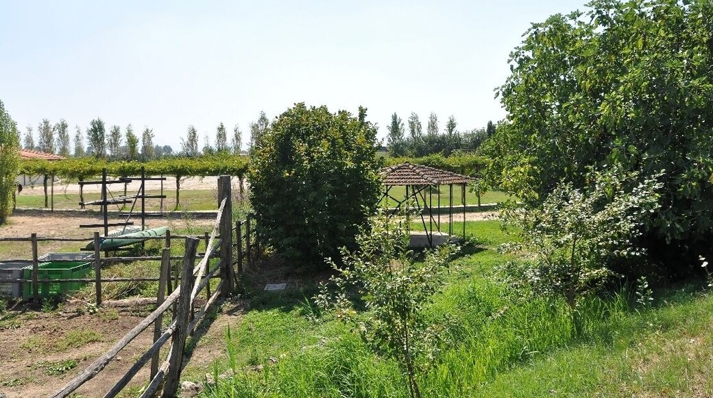 Foro Appio Mansio Hotel 2012