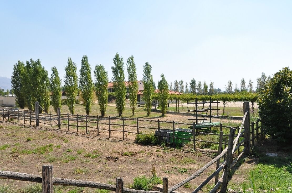 Foro Appio Mansio Hotel 2012