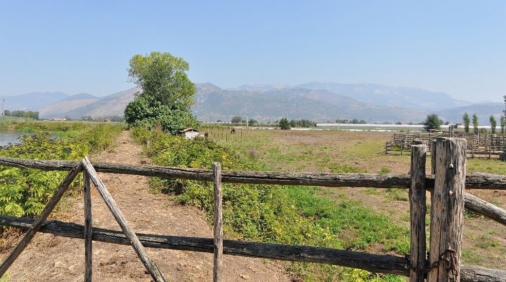 Foro Appio Mansio Hotel 2012