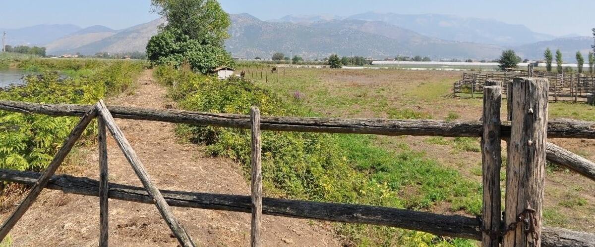 A rural landscape with a dirt path, a wooden fence, and a tree in the foreground.