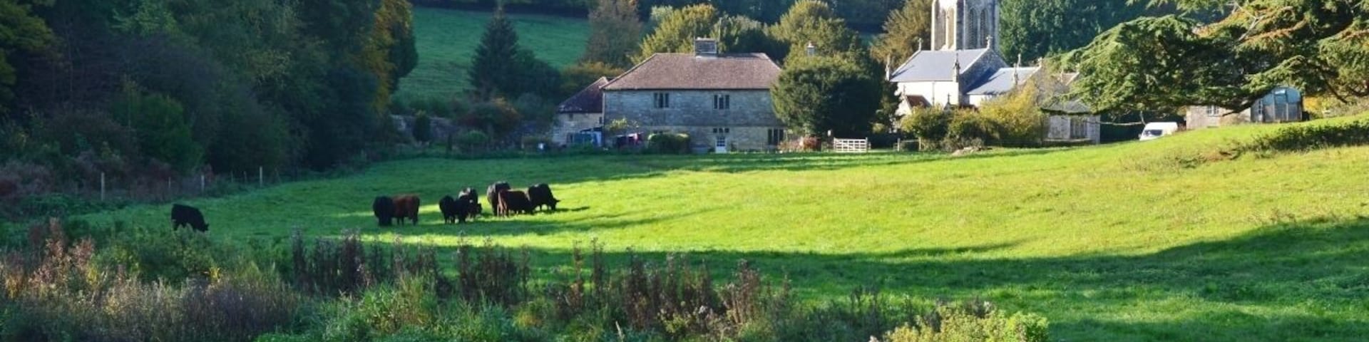 Teffont Evias: View of Church of St Michael and All Angels