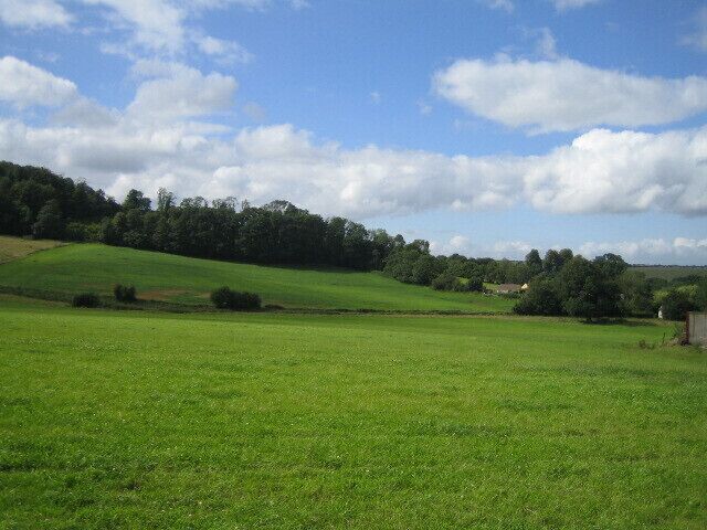 Farmland and woods near Home Farm 2 To the left is Upper Holt wood, which is ancient replanted woodland, on the east-west greensand ridge between Dinton and Chilmark. This ridge is broken by the north-south Teff stream that flows through Teffont Magna and Teffont Evias off camera to the right. The low hedge that crosses the photo marks the bridleway from Teffont Evias to Chilmark.