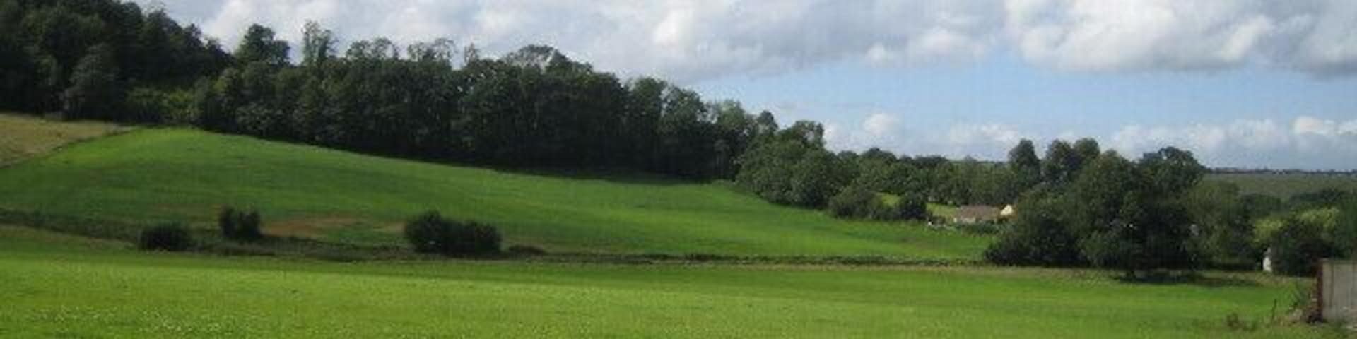 Farmland and woods near Home Farm 2 To the left is Upper Holt wood, which is ancient replanted woodland, on the east-west greensand ridge between Dinton and Chilmark. This ridge is broken by the north-south Teff stream that flows through Teffont Magna and Teffont Evias off camera to the right. The low hedge that crosses the photo marks the bridleway from Teffont Evias to Chilmark.