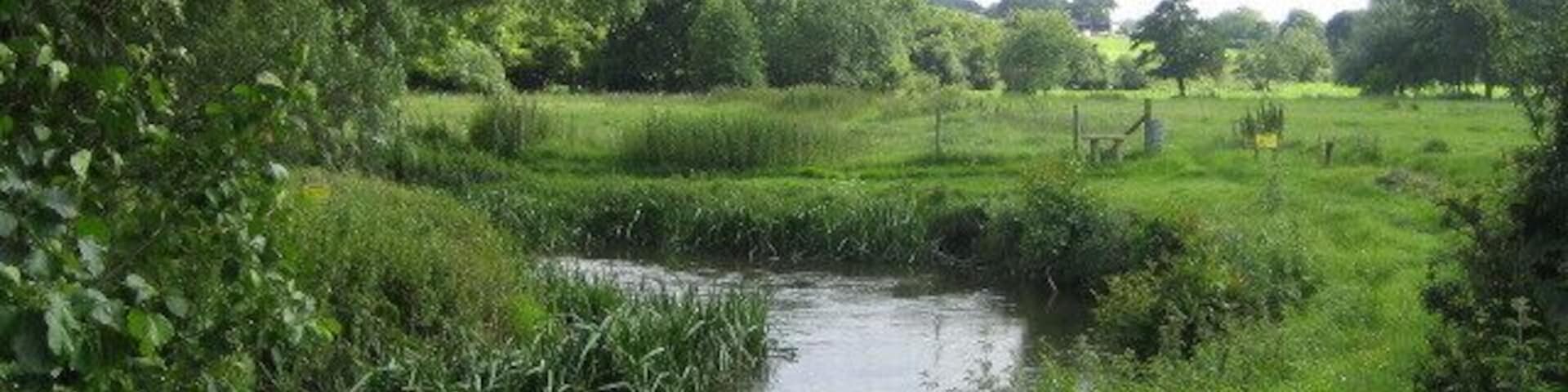 River Nadder near Teffont Evias The River Nadder is a chalk stream river with clear water and abundant fish and is the most significant of the tributaries of the Hampshire Avon. The river rises near Donhead St Mary east of Shaftesbury, and flows 32km to Wilton and through the park of Wilton House after where it joins the River Wylye. After a couple of miles the combined rivers join the River Avon close to Salisbury Cathedral. From Upper Chicksgrove - about 4km upstream - to Wilton the river is a Special Area of Conservation (SAC). This view looking upstream shows the river as it meanders across the 150m wide valley floor.