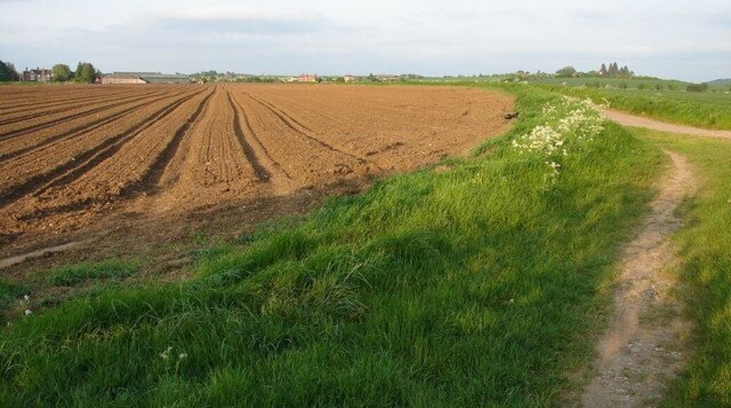 Field Near Milcote Manor Farm