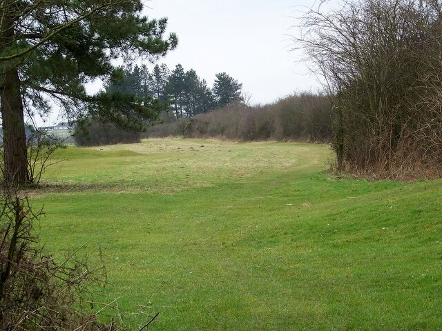 Bridleway to High Post The bridleway runs along the inside of the hedge bordering the A354. At this point it cross the golf course.