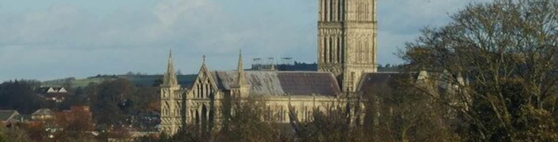 View From Harnham Hill, Salisbury Looking down across the houses, in the direction of Salisbury Cathedral. The rivers Avon and Nadder flow through the bottom of the valley, on this side of the cathedral, demonstrating that the cathedral is built on higher ground.