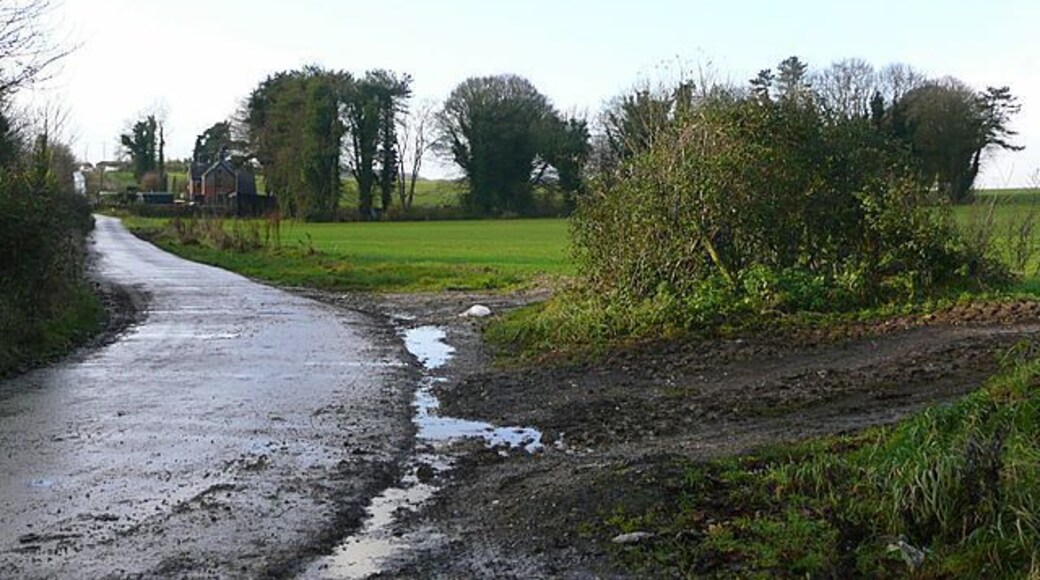 Old Shaftesbury Drove This byway is the route of Old Shaftesbury Drove, the original high level route from Salisbury to Shaftesbury.