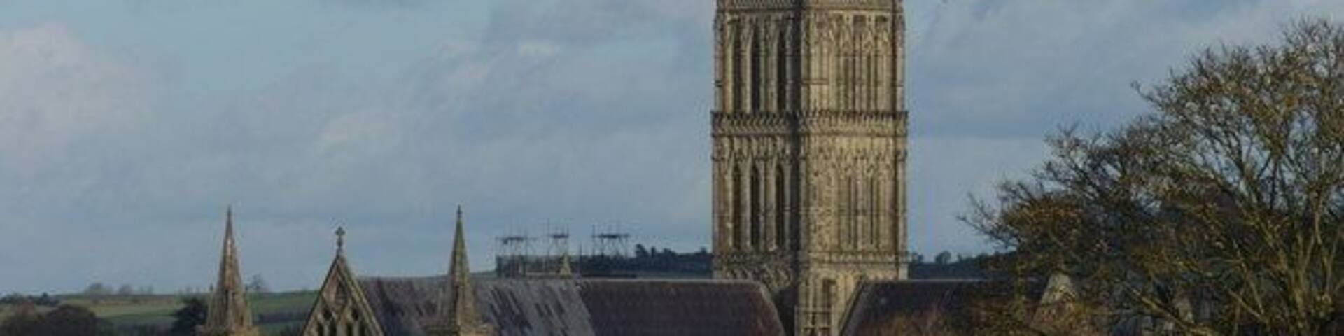 Salisbury Cathedral From Harnham Hill A viewpoint for the winter months, after the trees have shed most of their leaves. http://www.salisburycathedral.org.uk/