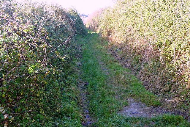 Avon Valley Path The AVP makes a convoluted route through Harnham into Salisbury. This restricted byway is now heading west.