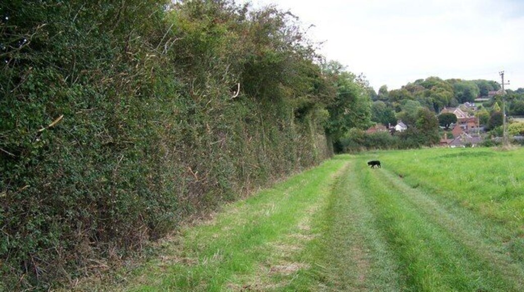 Footpath to West Winterslow The footpath heads gently downhill following the hedge line.