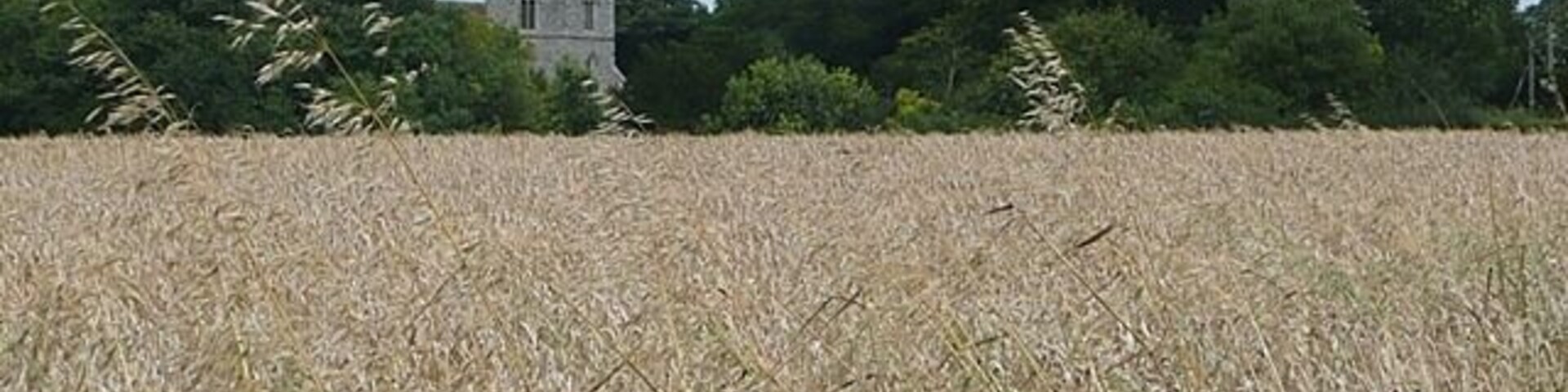 Arable land near West Winterslow church The land on top of the hill in the south-east of the square is all arable.