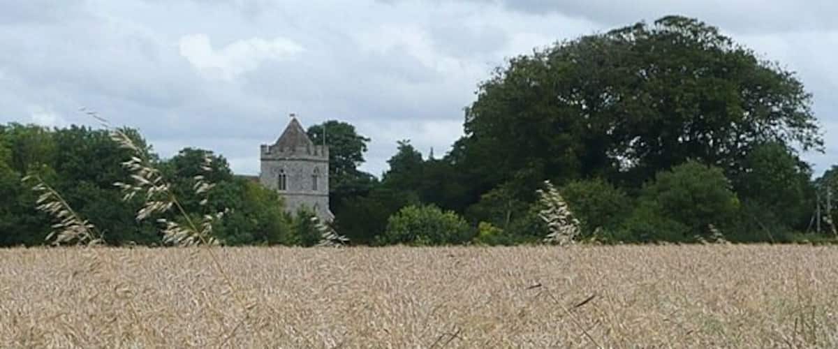 A field of wheat with a tower in the background.