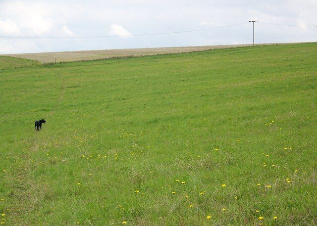 Footpath towards West Winterslow The footpath heads across grass fields to pick up a farm track which follows the line of telegraph poles which then heads towards West Winterslow.
