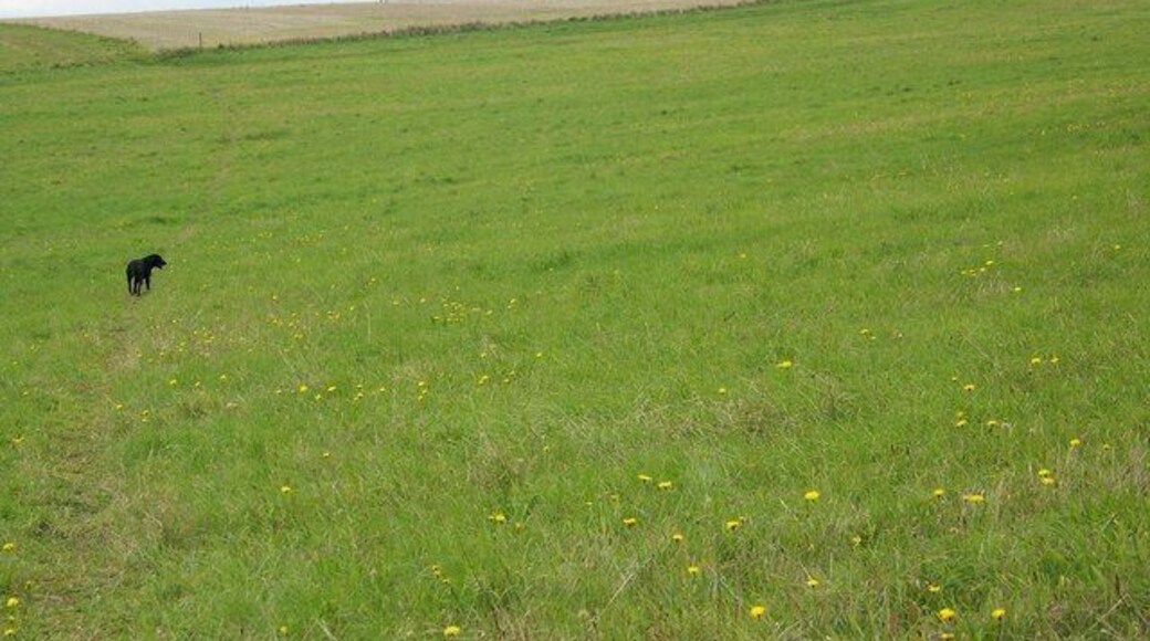 Footpath towards West Winterslow The footpath heads across grass fields to pick up a farm track which follows the line of telegraph poles which then heads towards West Winterslow.
