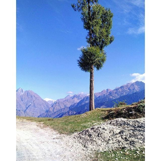Went on an early morning hike in the Himalayas. Waking up was a bit tough, legs hurt a little but worth all the effort. 
#incredibleindia #amazingindia #hills #mountains #himalayas #amazingindia #trees #green #uttarakhand #uttarakhandtourism #kumaon #indiagram #instagood #instadaily #mountainsarecalling #mountainscape #desi_diaries #_oye #indiapictures #indiaclicks #indiatravel #travelpics #travelgram #hiking #landscape