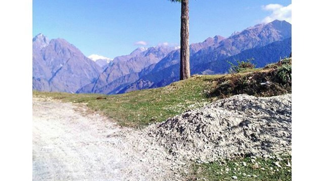 Went on an early morning hike in the Himalayas. Waking up was a bit tough, legs hurt a little but worth all the effort.
#incredibleindia #amazingindia #hills #mountains #himalayas #amazingindia #trees #green #uttarakhand #uttarakhandtourism #kumaon #indiagram #instagood #instadaily #mountainsarecalling #mountainscape #desi_diaries #_oye #indiapictures #indiaclicks #indiatravel #travelpics #travelgram #hiking #landscape