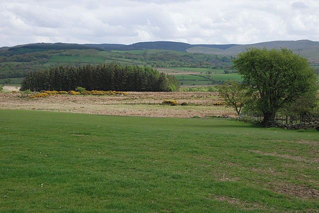 Field west of Pontrhydfendigaid Situated on a low ridge which lies to the west of the village; being better drained than the surrounding land the fields on the ridge provide good grazing.