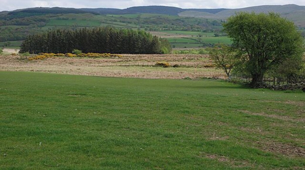 Field west of Pontrhydfendigaid Situated on a low ridge which lies to the west of the village; being better drained than the surrounding land the fields on the ridge provide good grazing.