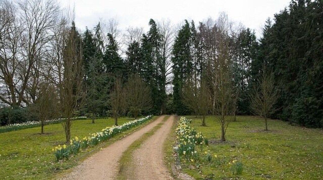 Access road to Heatherlands, Plaitford. This property is accessed via 740378 and was presumably associated with it.