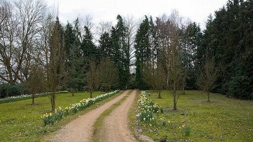 Access road to Heatherlands, Plaitford. This property is accessed via 740378 and was presumably associated with it.