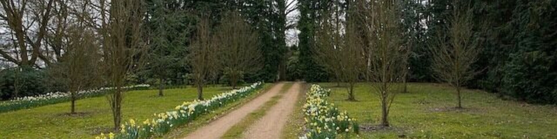 Access road to Heatherlands, Plaitford. This property is accessed via 740378 and was presumably associated with it.