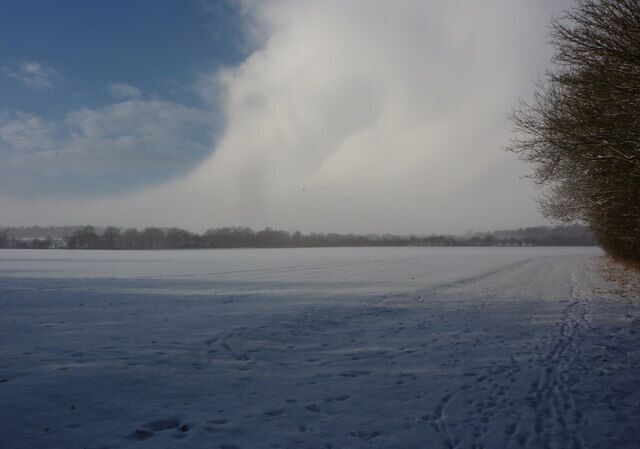 A snow-covered field with a tree on the right and a cloudy sky.