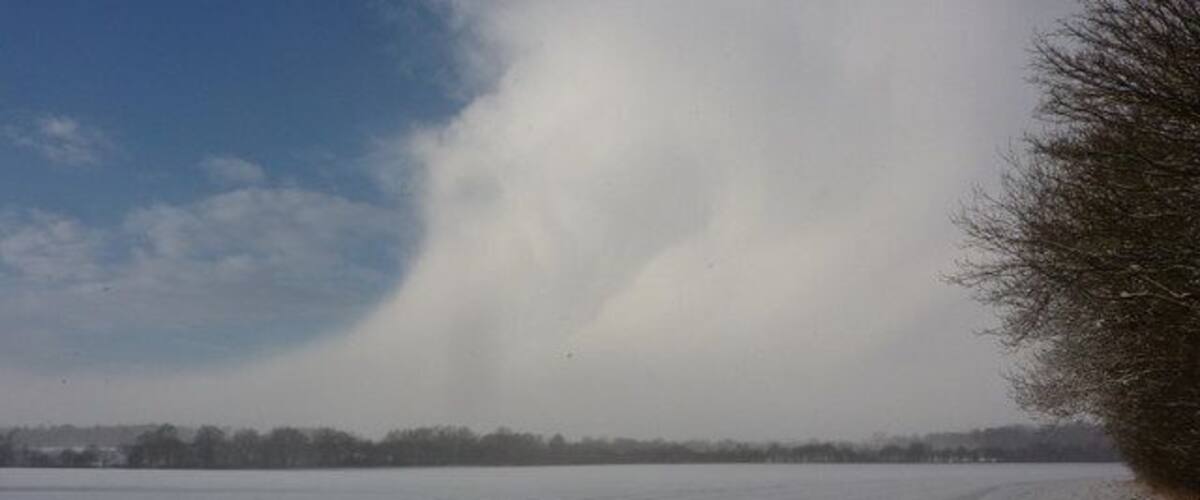 A snow-covered field with a tree on the right and a cloudy sky.