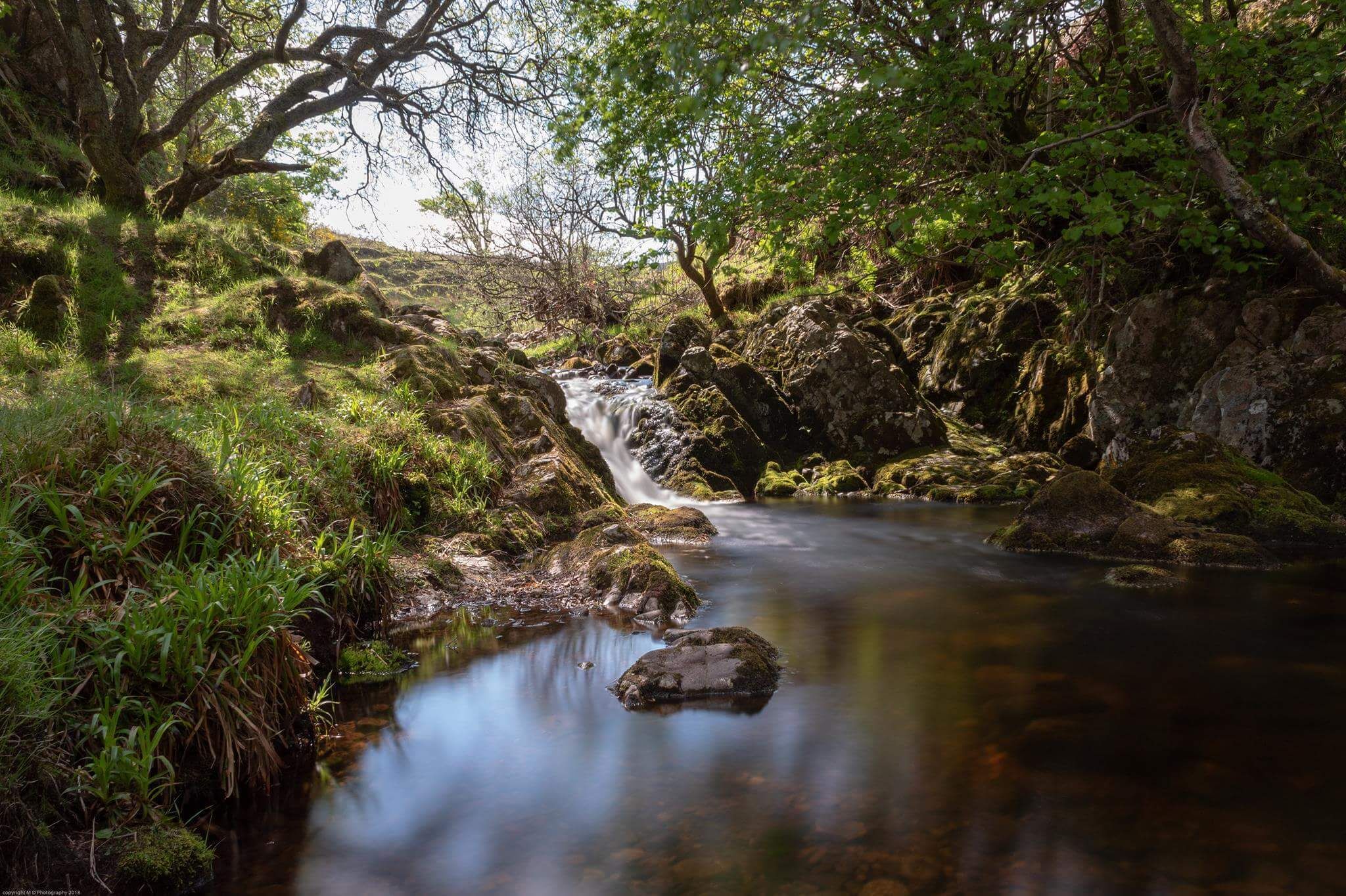 A serene stream flowing through a rocky landscape with moss-covered rocks and lush greenery.