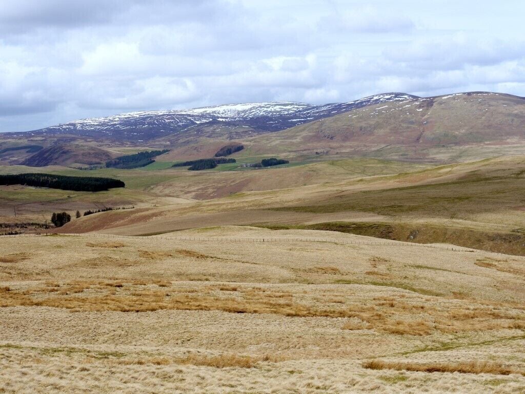 Cheviot & Hedgehope from Cochrane Pike Taken from the same location as 1799561 but zoomed into the high Cheviot hills, still carrying snow patches. Hartside Farm, in the Breamish valley, is almost central. Linhope is to its left, hidden by trees. This whole area is covered in well preserved remains of settlements dating back to the Bronze Age.