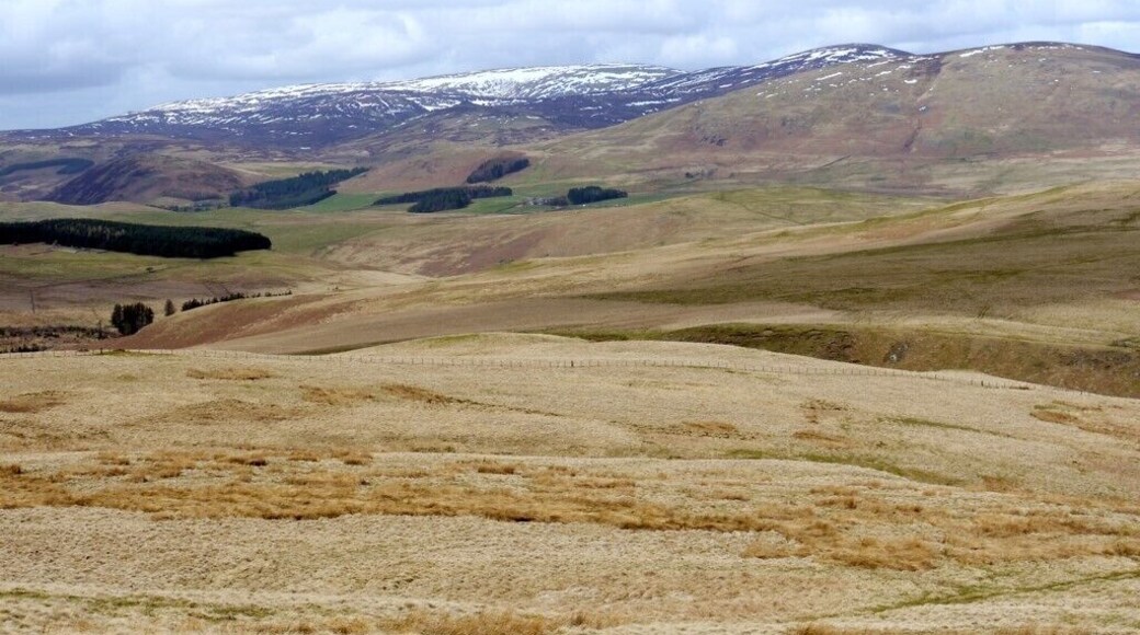 Cheviot & Hedgehope from Cochrane Pike Taken from the same location as 1799561 but zoomed into the high Cheviot hills, still carrying snow patches. Hartside Farm, in the Breamish valley, is almost central. Linhope is to its left, hidden by trees. This whole area is covered in well preserved remains of settlements dating back to the Bronze Age.