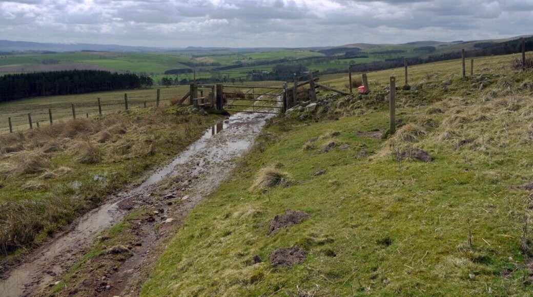 Gate on track to Prendwick. Same gate shown in 556856 on the Ingram to Prendwick track