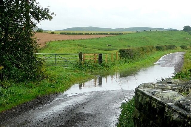 A rural road with a stone wall on one side and a green gate.