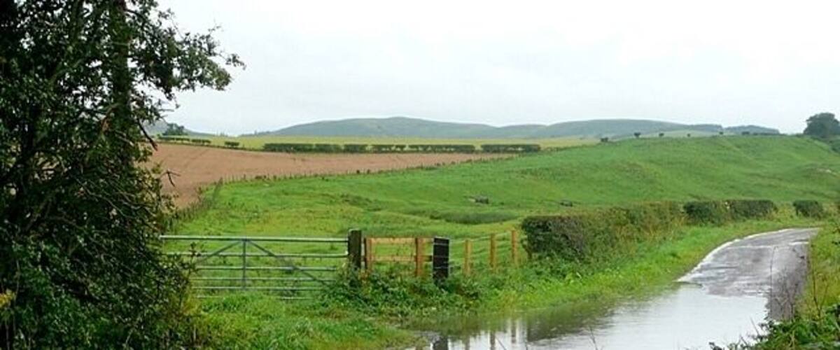 A rural road with a stone wall on one side and a green gate.