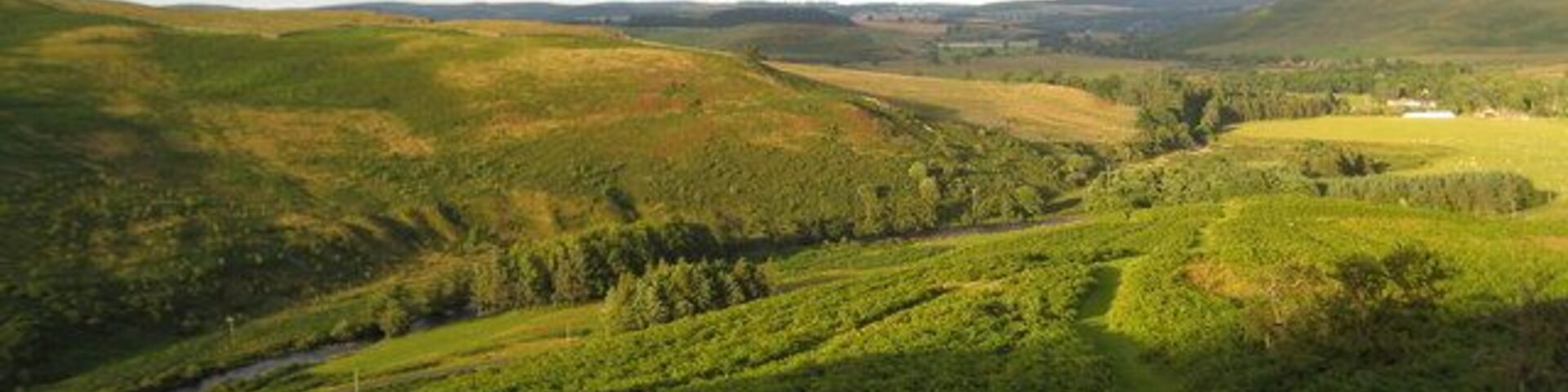 Looking down the lower slopes of Brough Law The evening sun is catching the hills forming this valley. The River Breamish is just visible.