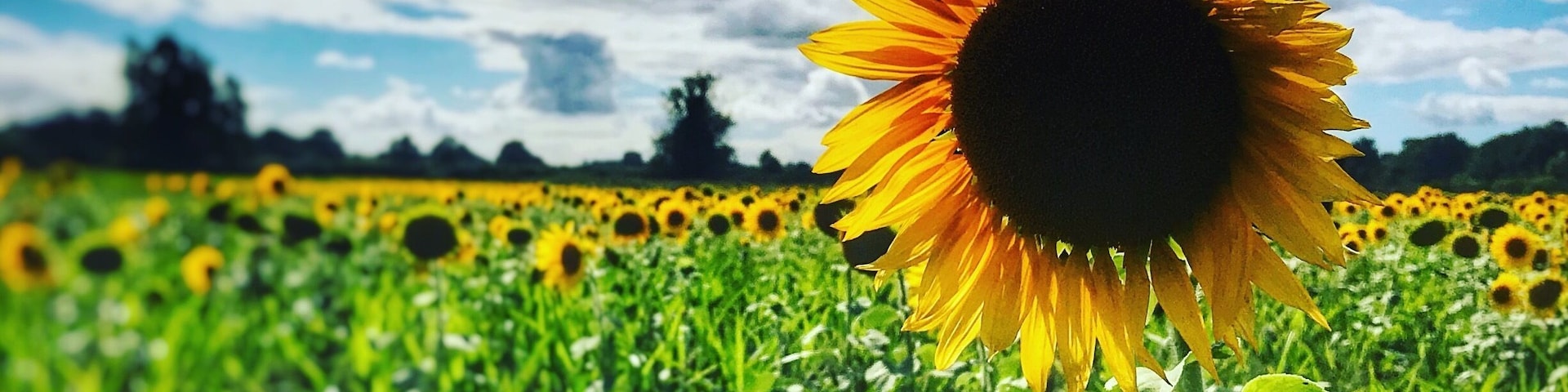 Acton Turville, Nr Chippenham - iPhone 7 plus