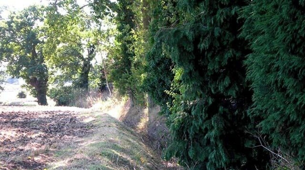 Moat. Ancient earthwork