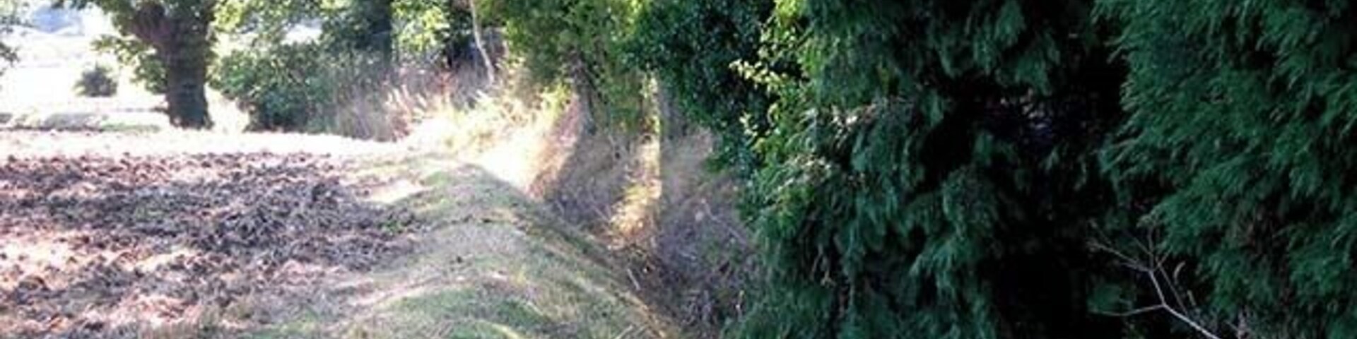 Moat. Ancient earthwork