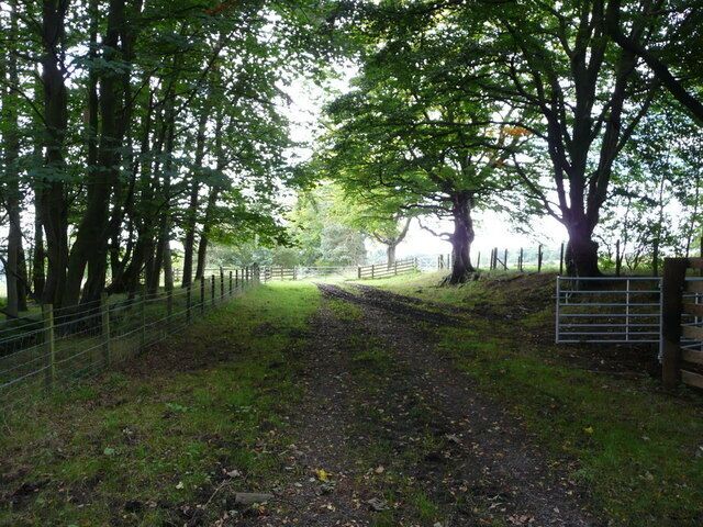 The old road The old road to Dumfries House.