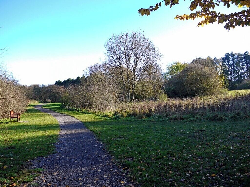 Path, Ponteland Park