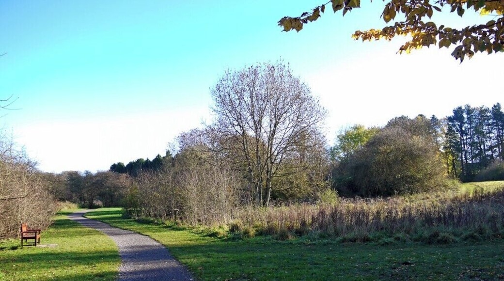 Path, Ponteland Park
