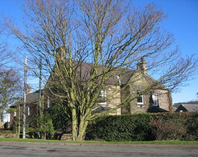 House and tree, Eland Green. On the northern outskirts of Ponteland