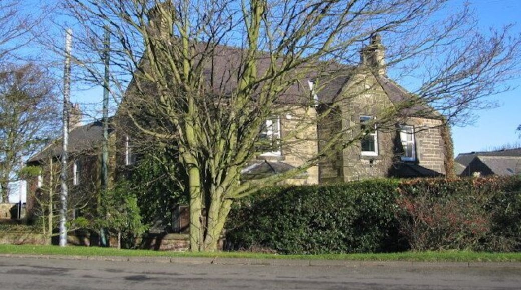 House and tree, Eland Green. On the northern outskirts of Ponteland