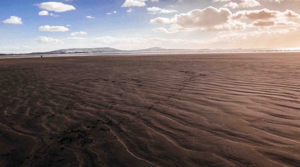 Winter walk on the local beach.
