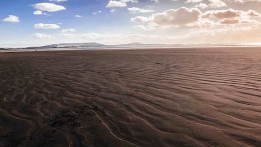 Winter walk on the local beach.